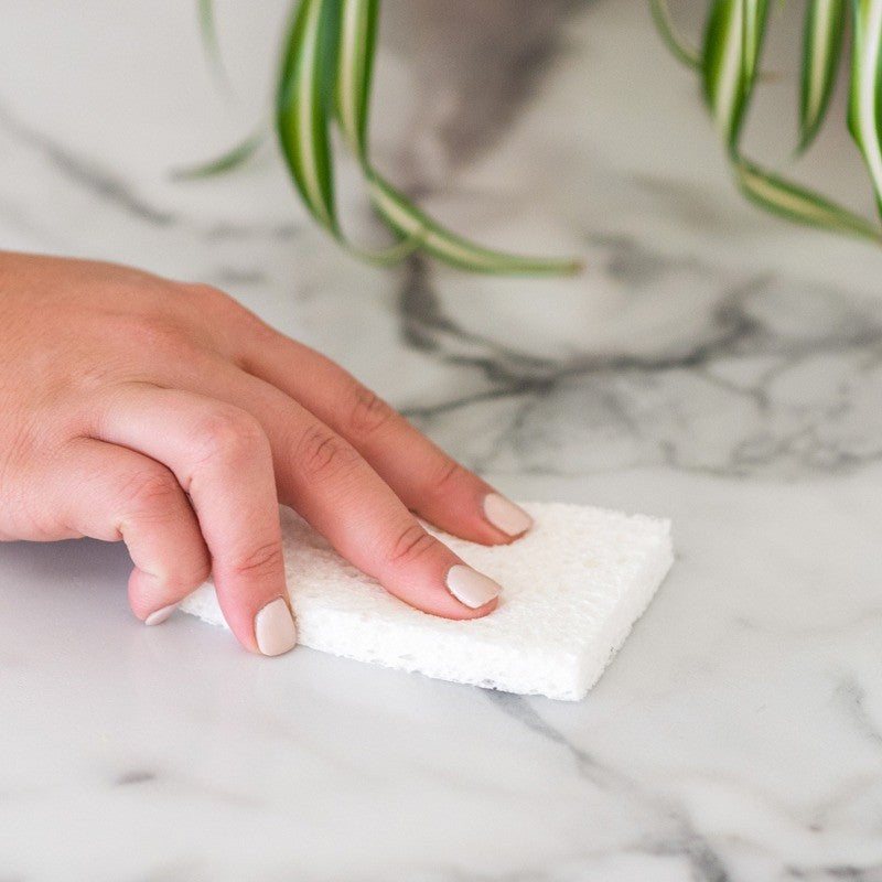 Full Circle Plain Jane Plant Sponges Set Of 3 - iQ living