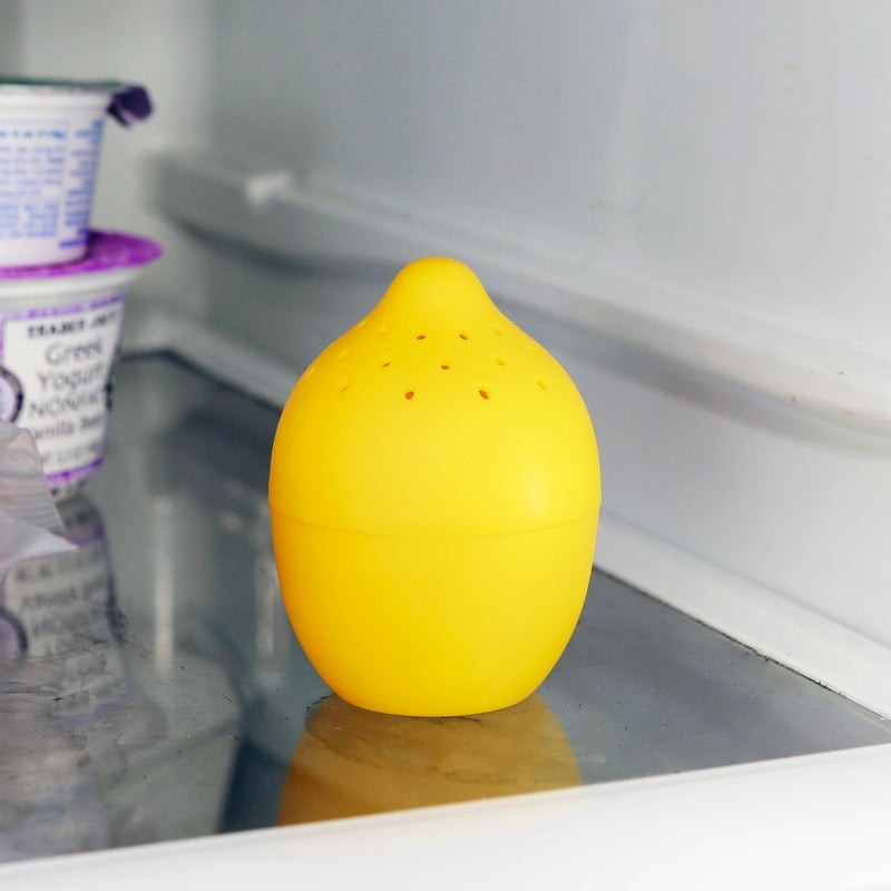 Kikkerland Fridge & Freezer Fresheners