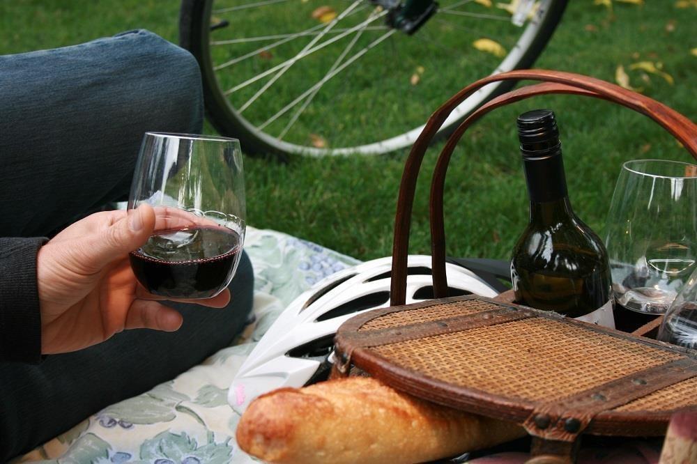 Govino Plastic Outdoor Stemless Wine Glass 16oz Set Of 4