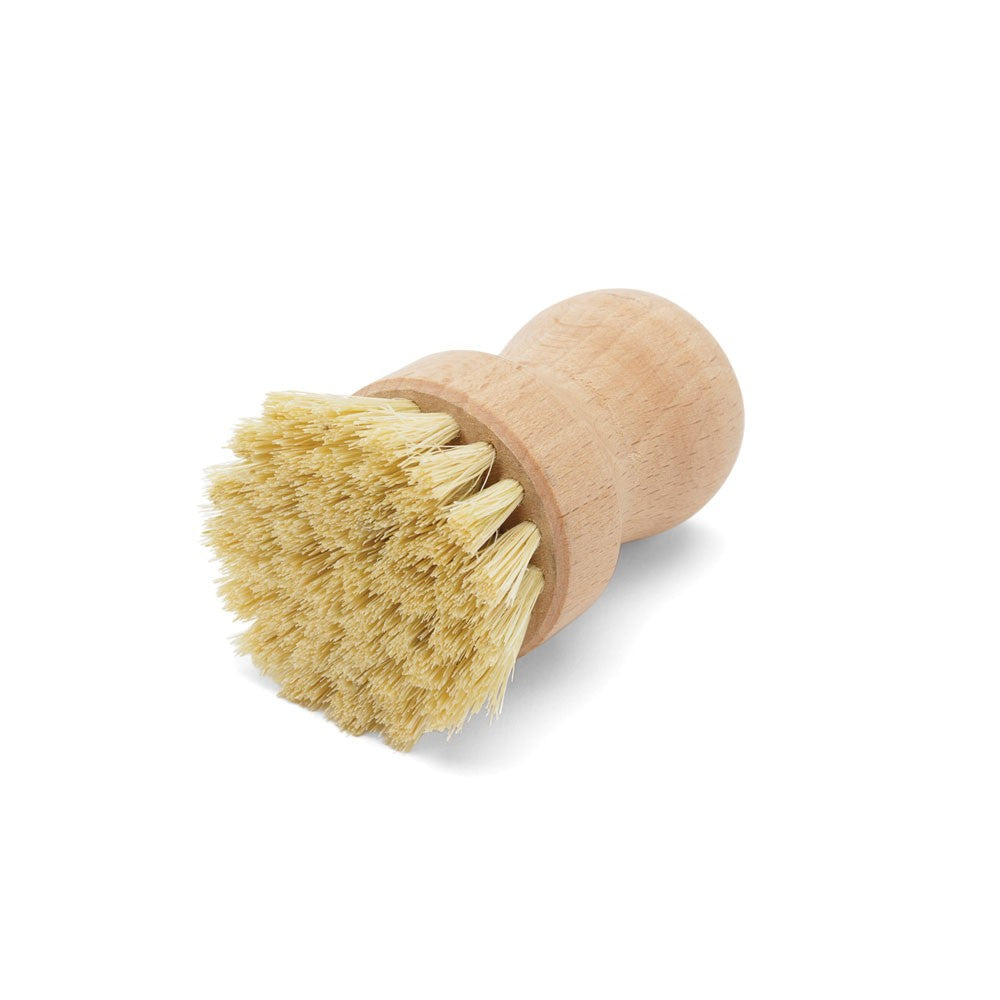 Fox Run Natural Palm Dish Brush - iQ living
