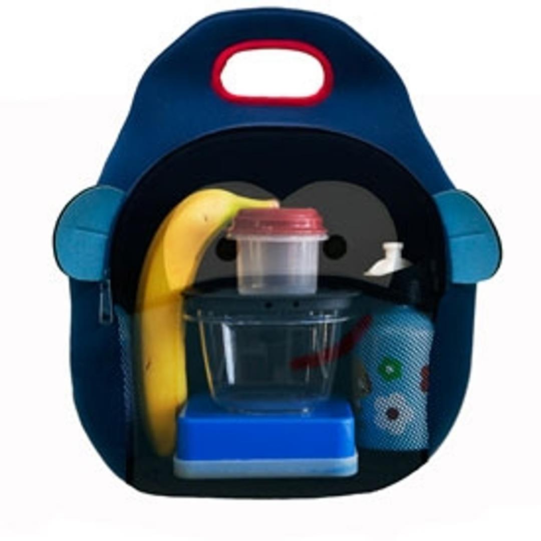 DabbaWalla Large Lunch Bag Dinosaur