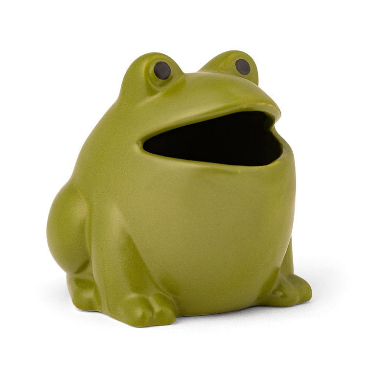 Kikkerland Froggy Fly Trap