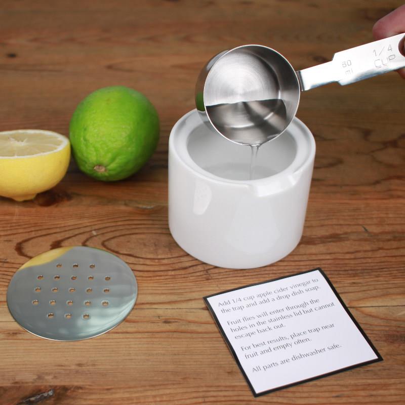 RSVP Fruit Fly Trap