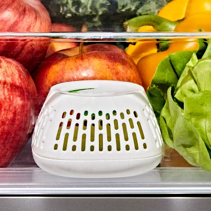 OXO Produce Saver Charcoal Fridge Insert