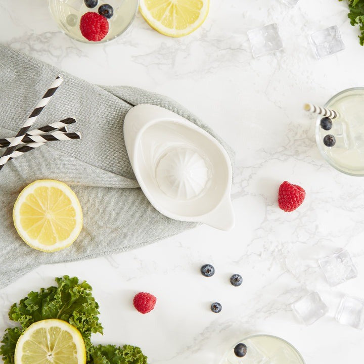 RSVP Porcelain Citrus Juicer - iQ living