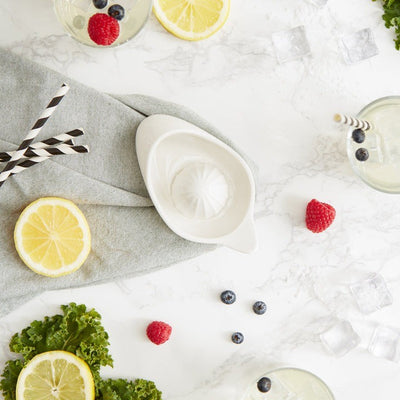 RSVP Porcelain Citrus Juicer