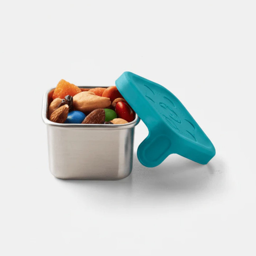 PlanetBox Rover Little Square Dipper