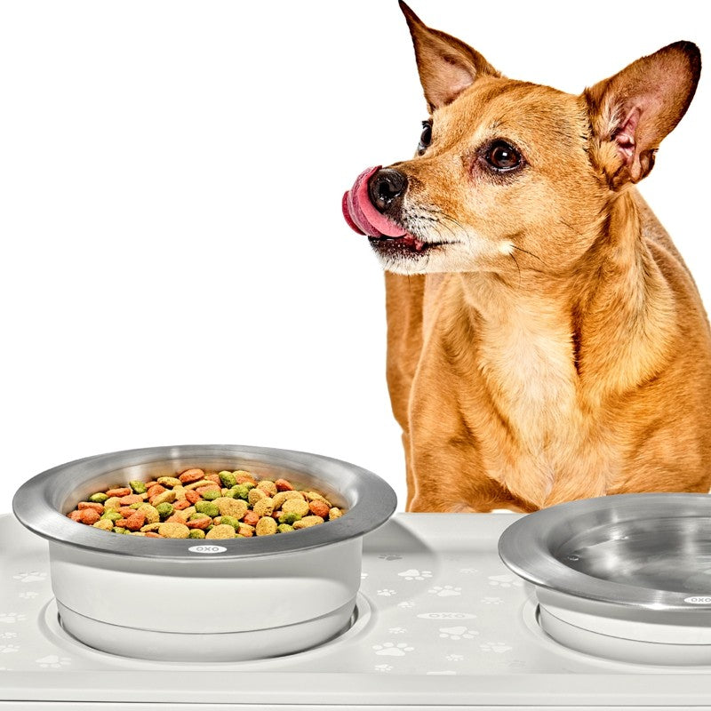 OXO Good Grips PET Food Bowl