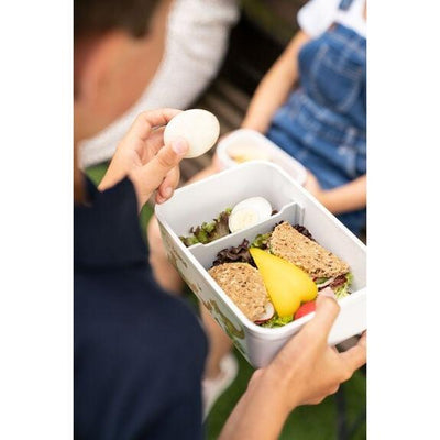 Zwilling Fresh & Save Plastic Dino Lunch Container