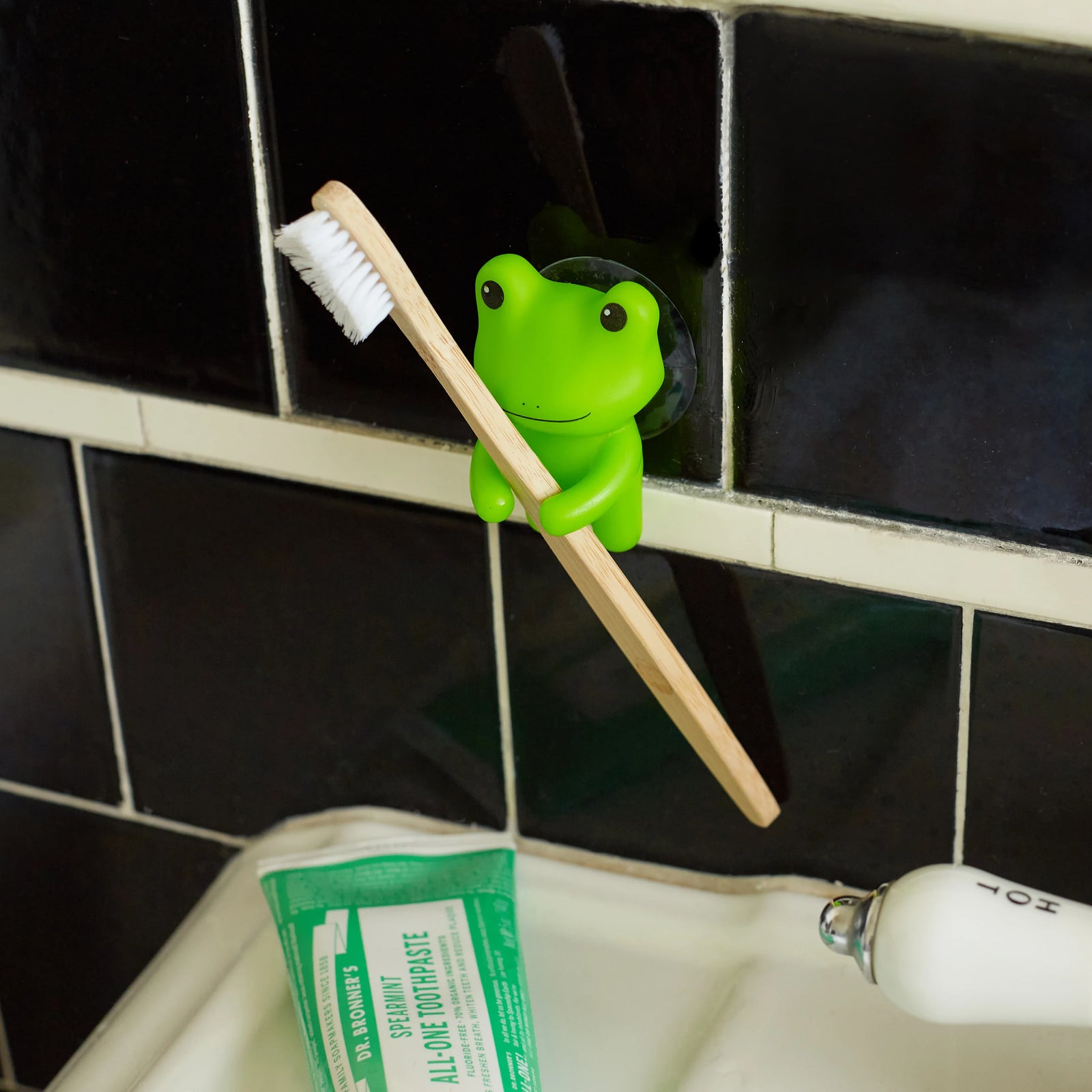 Kikkerland Toothbrush Holder - iQ living