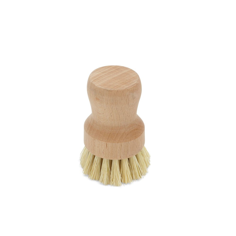Fox Run Natural Palm Dish Brush - iQ living