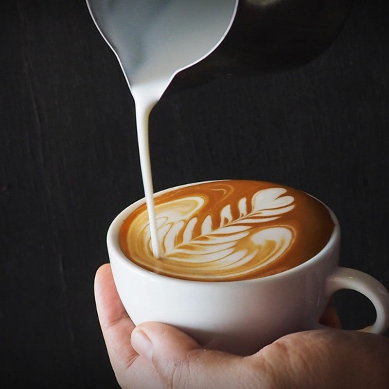 Cafe Culture Latté Milk Frothing Pitcher - iQ living
