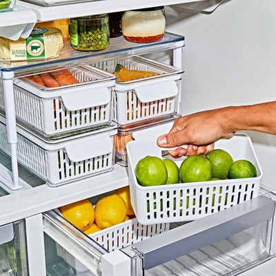 OXO Produce Saver Crisper Basket