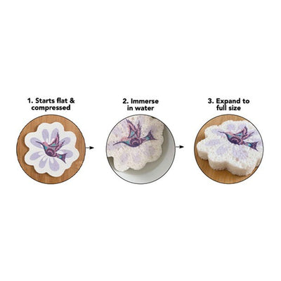 Native Northwest Eco Sponge Butterfly