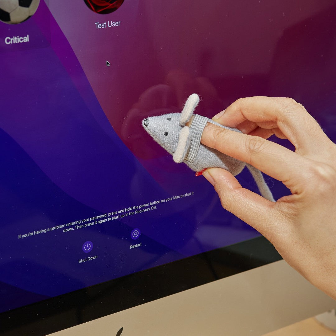 Kikkerland Squeaky Clean Mouse