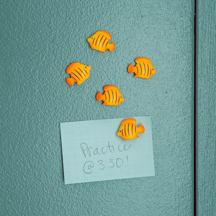 Kikkerland Fish Magnets Set Of 5