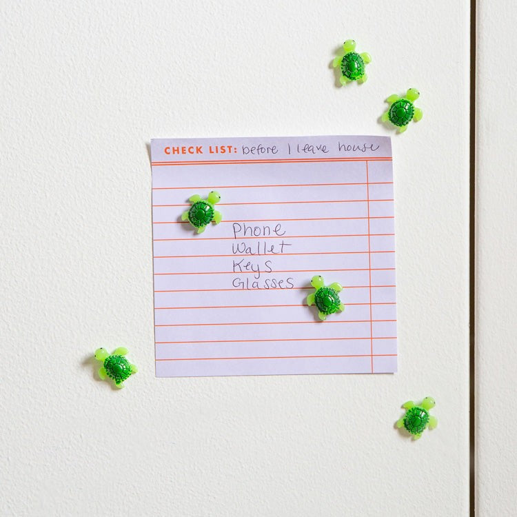 Kikkerland Baby Turtle Magnets Set Of 6
