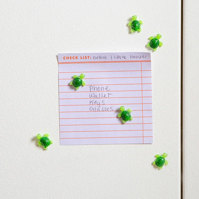 Kikkerland Baby Turtle Magnets Set Of 6