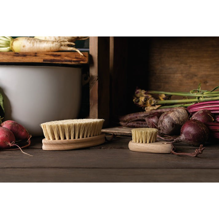 Now Designs Veggie Brush Large
