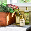 Fruits & Passion Cucina Concentrated Dish Soap, Coriander and Olive Tree