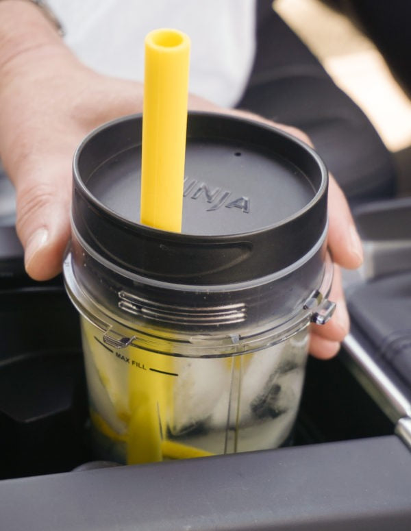 RSVP Silicone Smoothie Straws Set of 6 - iQ living