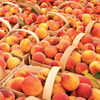 Provisions Food Company Sparkling Jam Peach & Prosecco