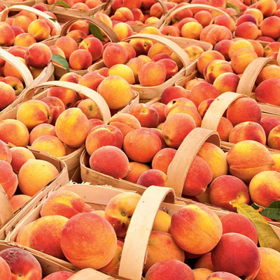 Provisions Food Company Sparkling Jam Peach & Prosecco