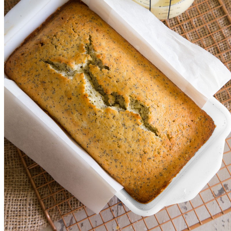 BIA White Loaf Pan - iQ living