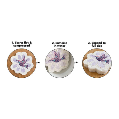 Native Northwest Eco Sponge Hummingbird