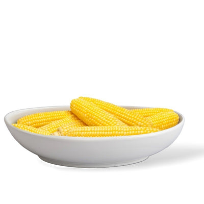 BIA White Porcelain Large Oval Serving Bowl