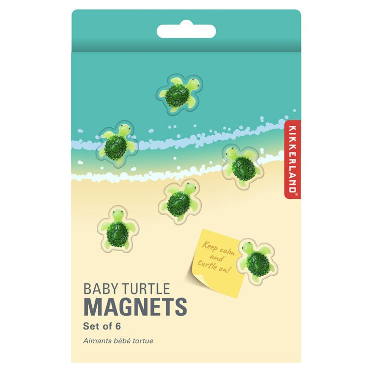 Kikkerland Baby Turtle Magnets Set Of 6