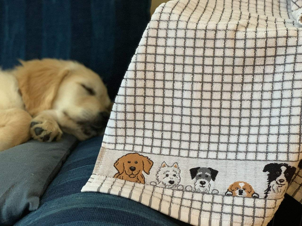Samuel Lamont Poli-Dri Tea Towel Dog - iQ living