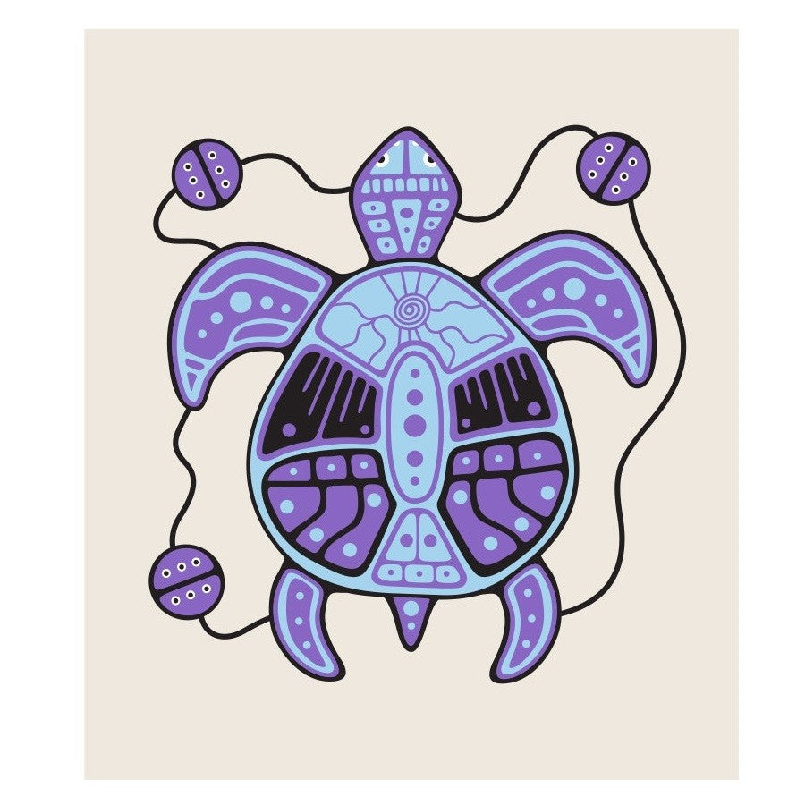 Native Northwest Eco Cloth Turtle - iQ living