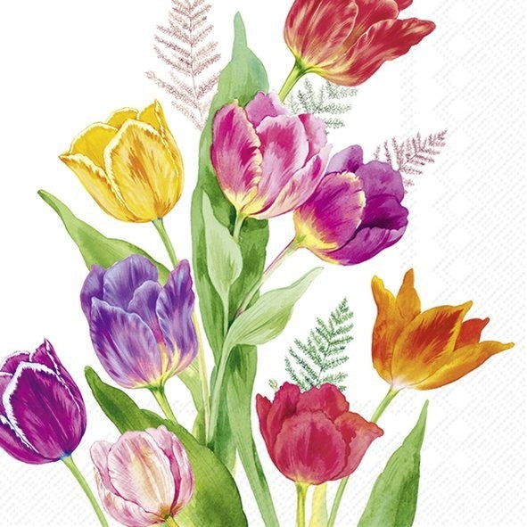IHR Cocktail Napkin 20 Pack Bright Tulips