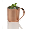 Brilliant Moscow Mule 20oz