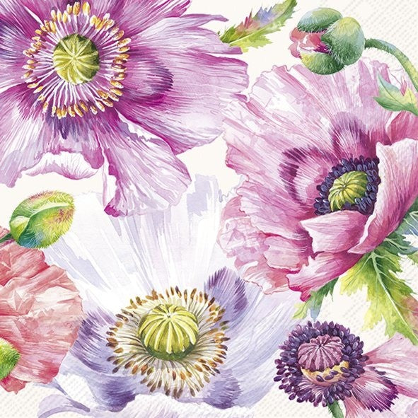IHR Luncheon Napkin 20 Pack Graceful Poppy