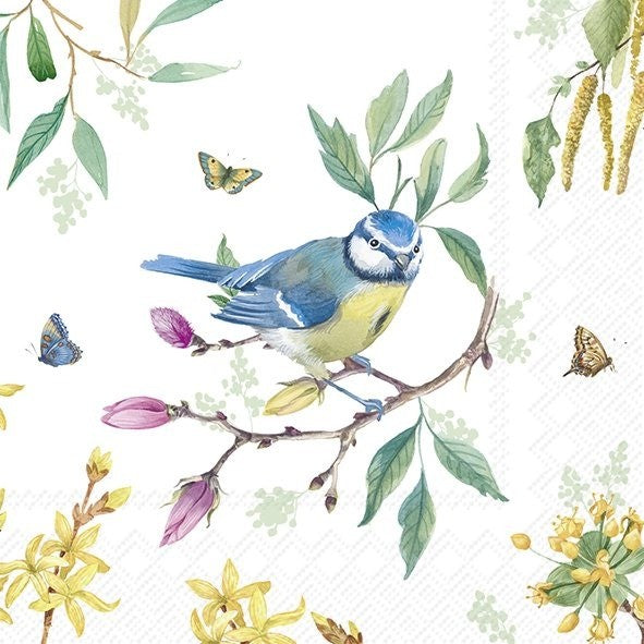 IHR Cocktail Napkin 20 Pack Spring Story Blue Jay
