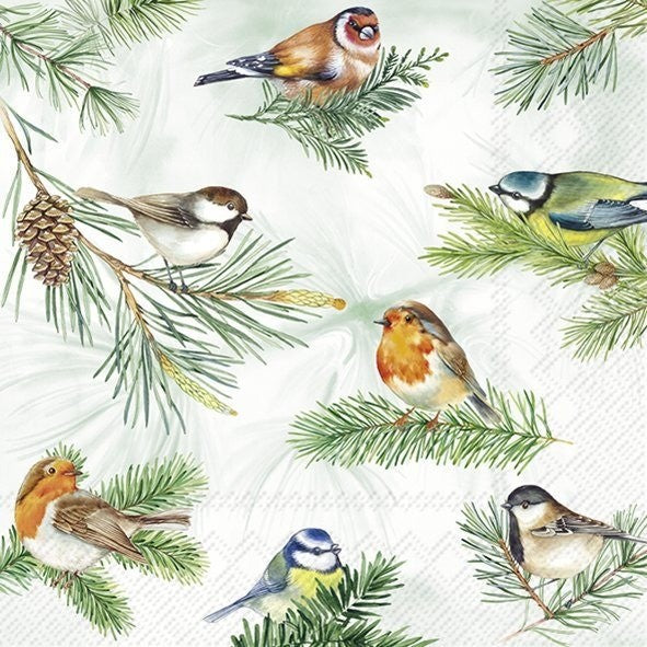 IHR Christmas Luncheon Napkin 20 Pack Charming Birds In Green