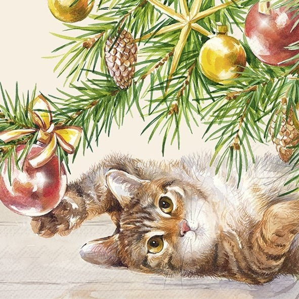 IHR Christmas Cocktail Napkin 20 Pack Cat