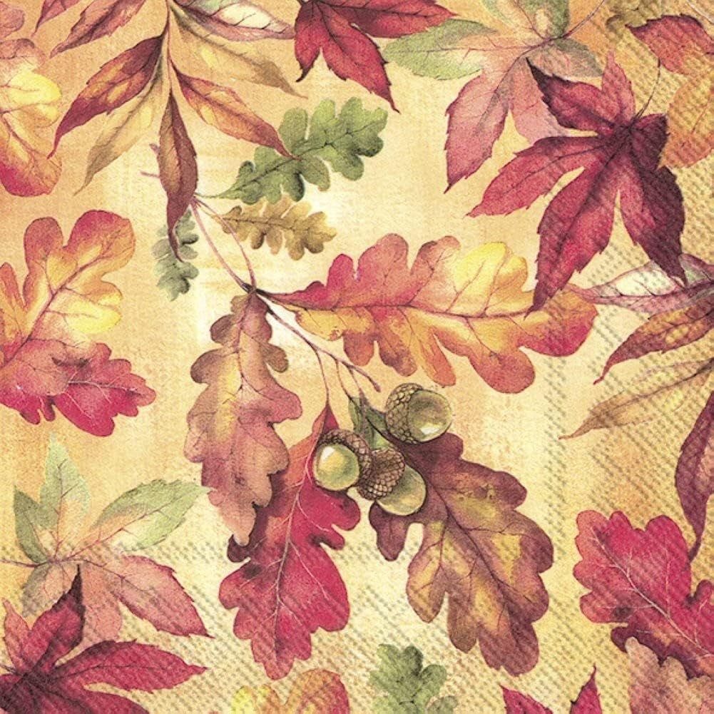 IHR Fall Cocktail Napkin 20 Pack Bright Autumn