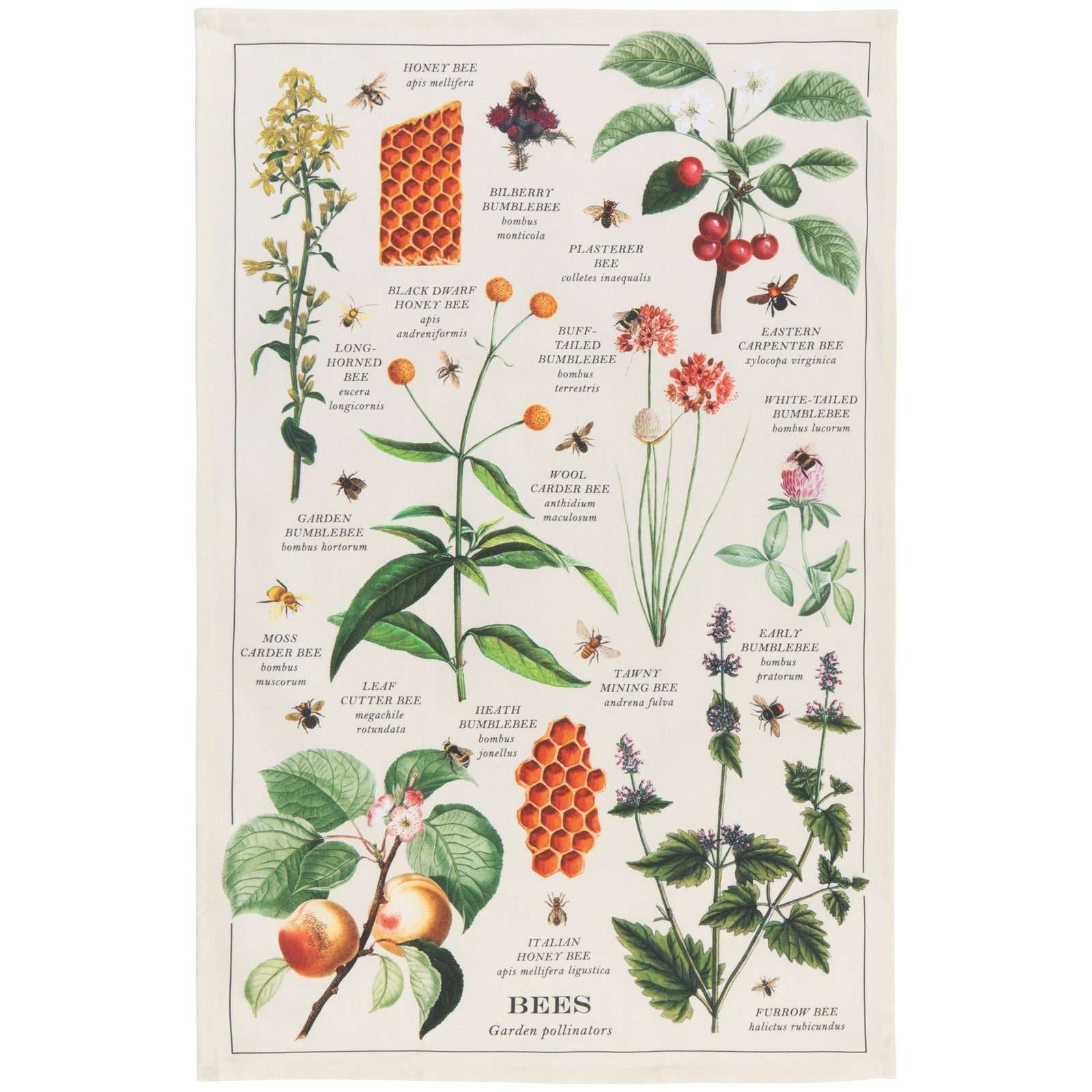 Now Designs Tea Towel Bee Varieties