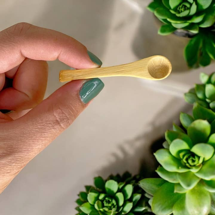 Bamboo Switch Mini Spice Spoon 2.7"