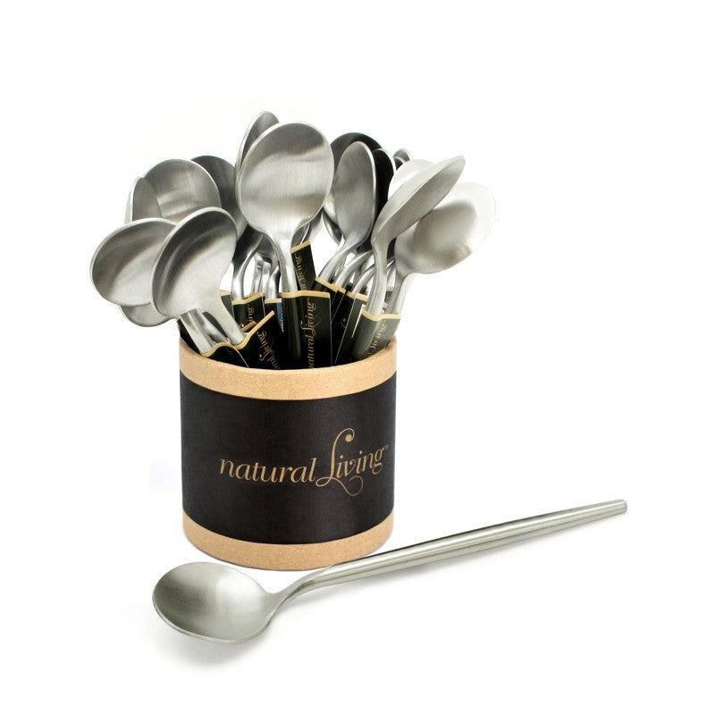 Natural Living Matte Silver Small Spoon