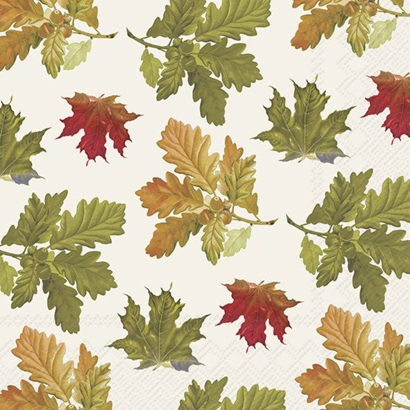 IHR Fall Luncheon Napkin 20 Pack Earthtone Leaves