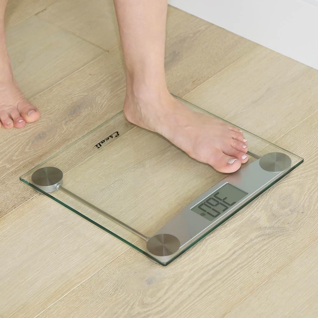 Escali Clear Glass Bath Scale