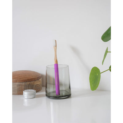 Toothbuckle Bamboo Toothbrush