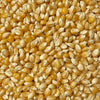 Provisions Food Company Popcorn - Yellow Gold