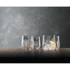 Spiegelau Lifestyle Tumblers Glass Set Of 4