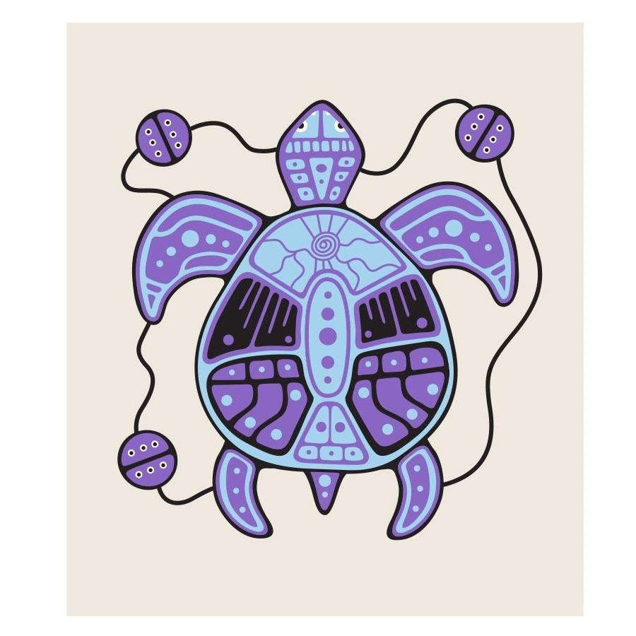 Native Northwest Eco Cloth Turtle